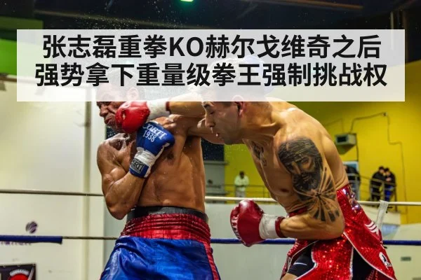 张志磊重拳KO赫尔戈维奇之后强势拿下重量级拳王强制挑战权
