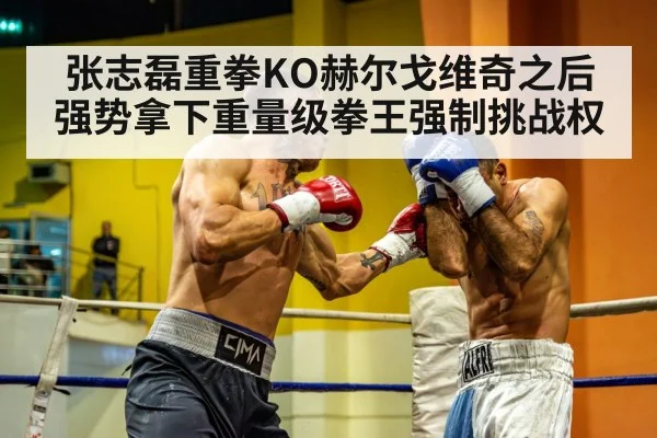 chinese heavyweight boxer