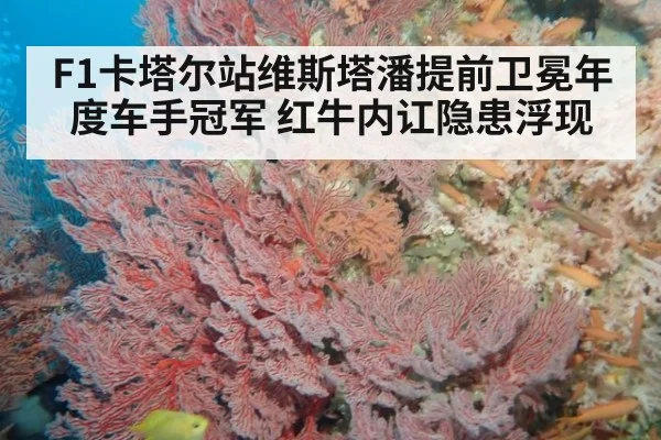 F1卡塔尔站维斯塔潘提前卫冕年度车手冠军 红牛内讧隐患浮现